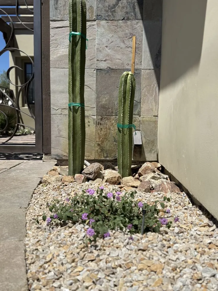 Professional residential landscaping in La Quinta, CA by Frog's Gardening & Landscape Design