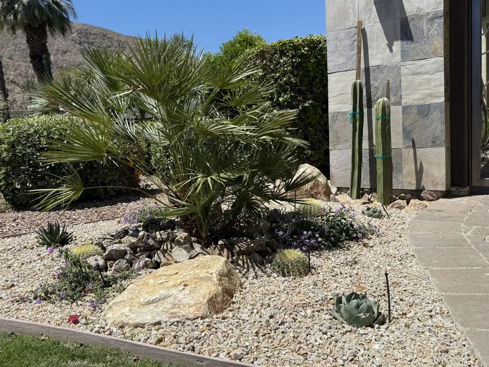 Affordable yard cleanup service for residential properties in La Quinta, CA by Frog's Gardening & Landscape Design