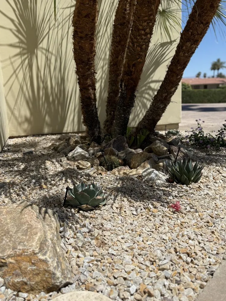 Top-rated lawn care service experts serving La Quinta, CA - Frog's Gardening & Landscape Design