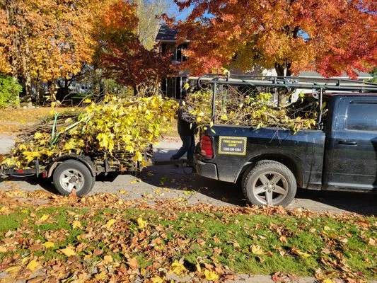 Frog's Lawn and Tree Logo