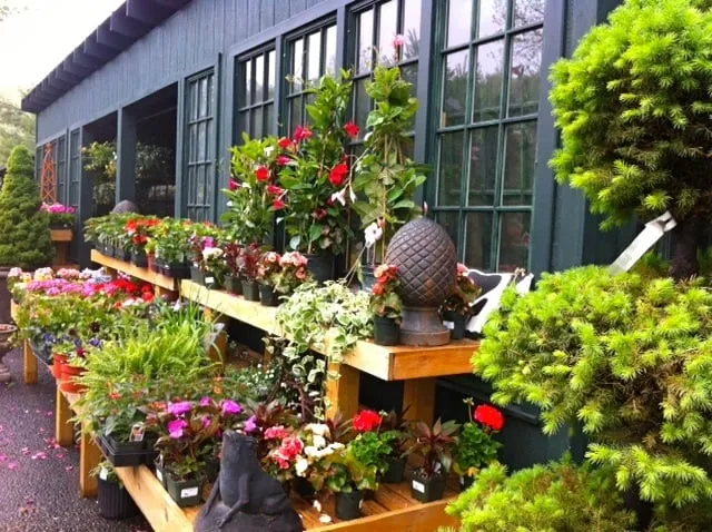 Affordable landscape design for outdoor upgrades across New Canaan, CT - Frogtown Farms & Nurseries