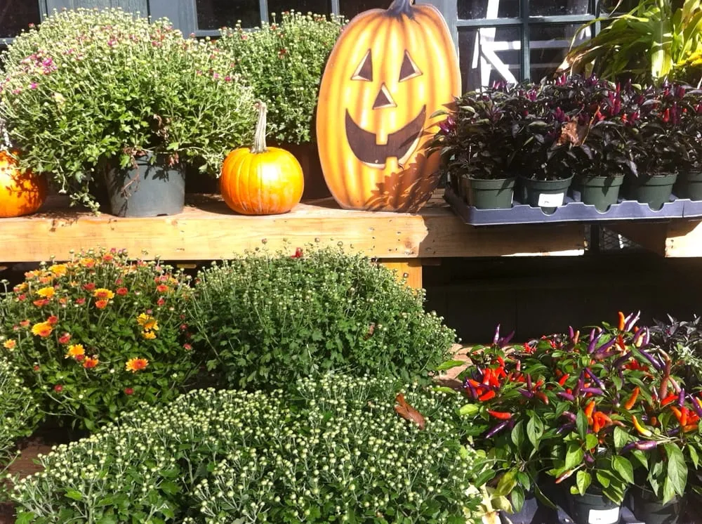 Trusted residential landscaping in New Canaan, CT - Frogtown Farms & Nurseries