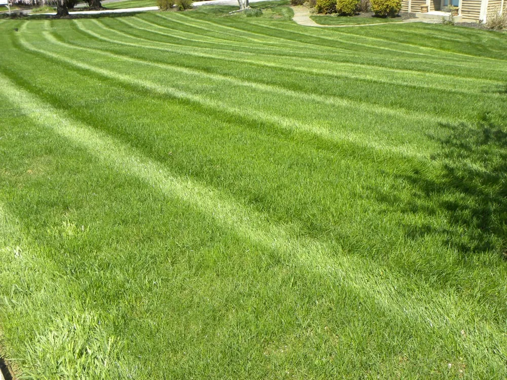 Top-rated garden landscaping for year-round maintenance across West Chester, PA - Froio's Lawn & Landscape