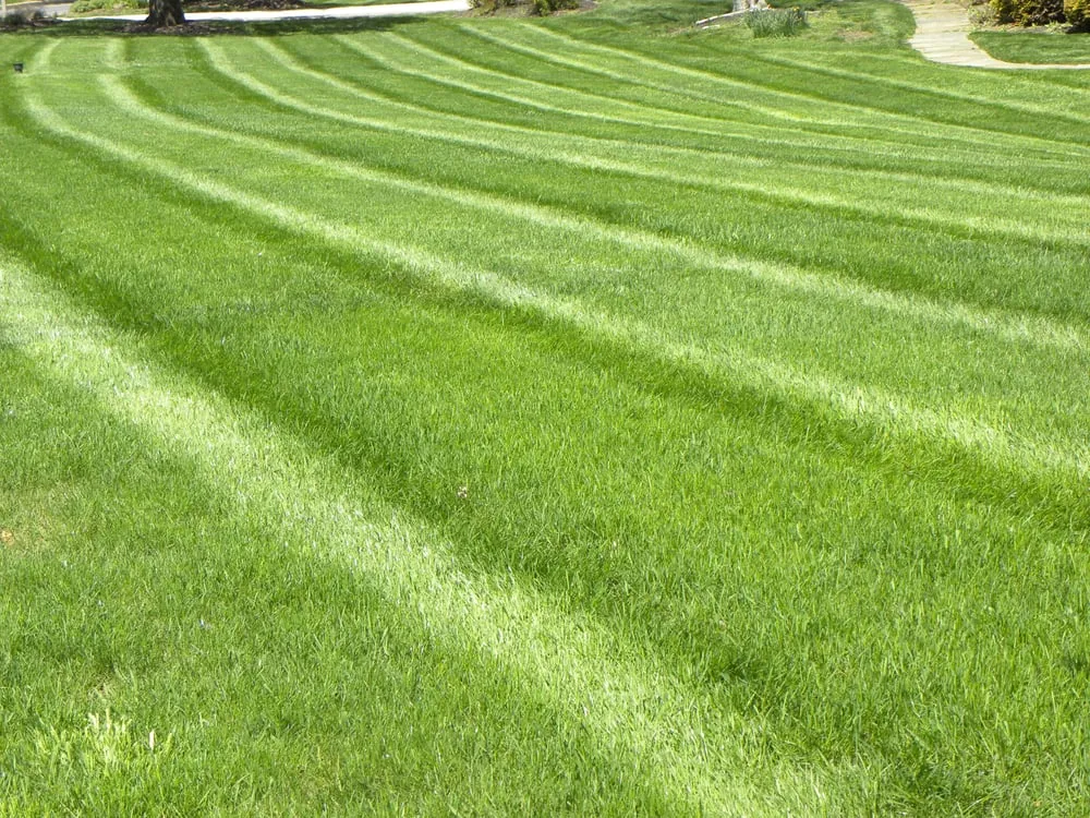 Affordable garden landscaping for outdoor upgrades in West Chester, PA by Froio's Lawn & Landscape