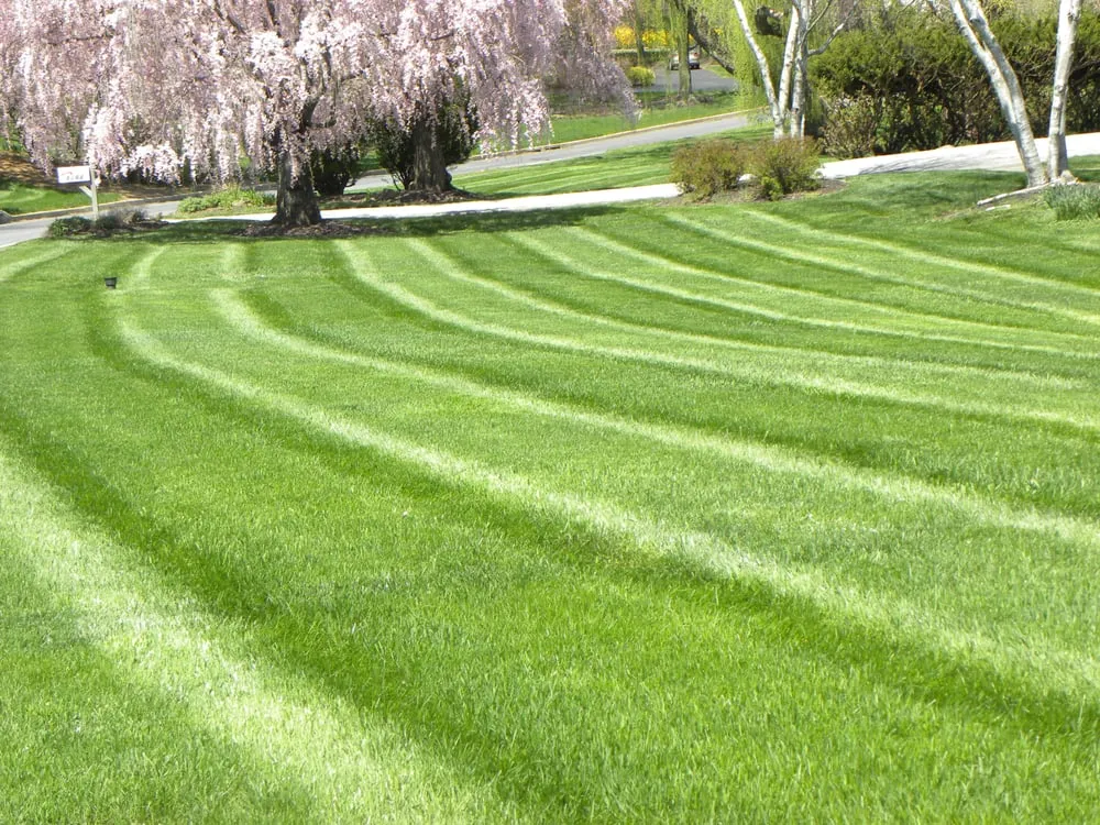 Custom landscape design for outdoor upgrades across West Chester, PA - Froio's Lawn & Landscape