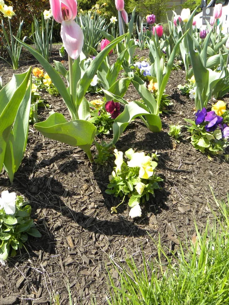 Expert landscaping services for outdoor upgrades across West Chester, PA - Froio's Lawn & Landscape