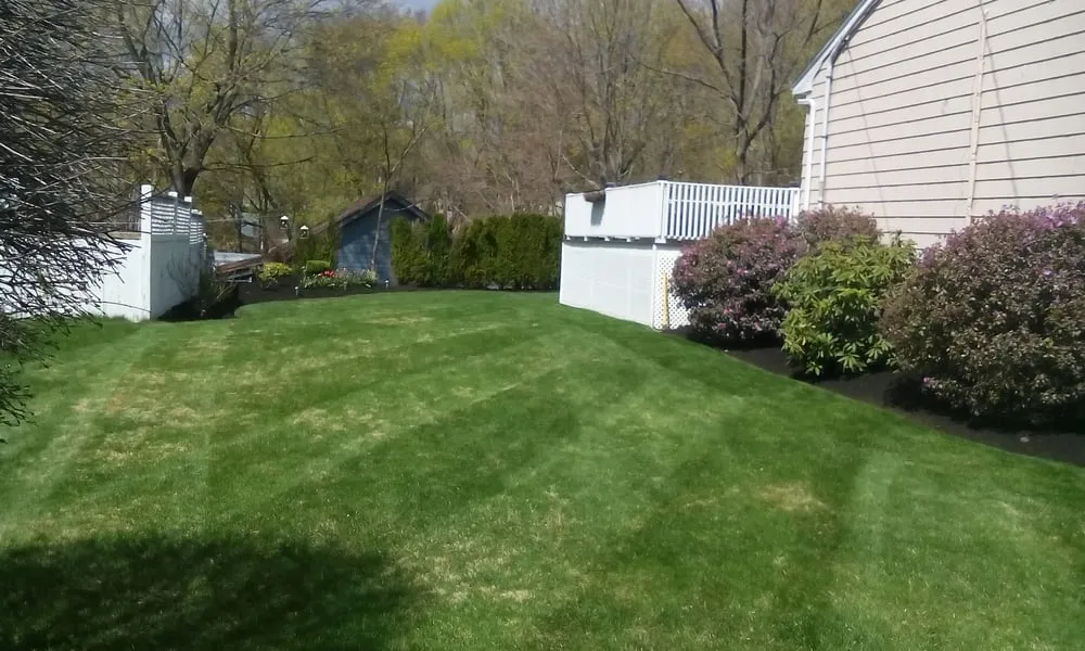 Custom lawn care service in Rockland, MA by Frois Landscape