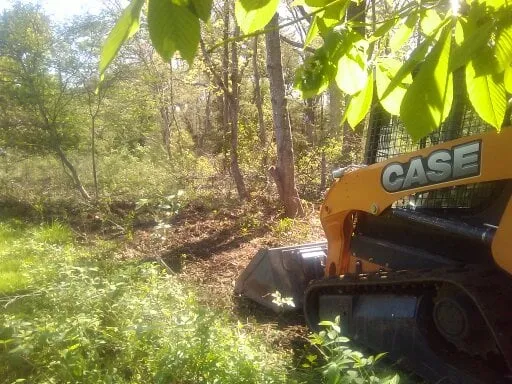 Trusted yard maintenance in Rockland, MA by Frois Landscape