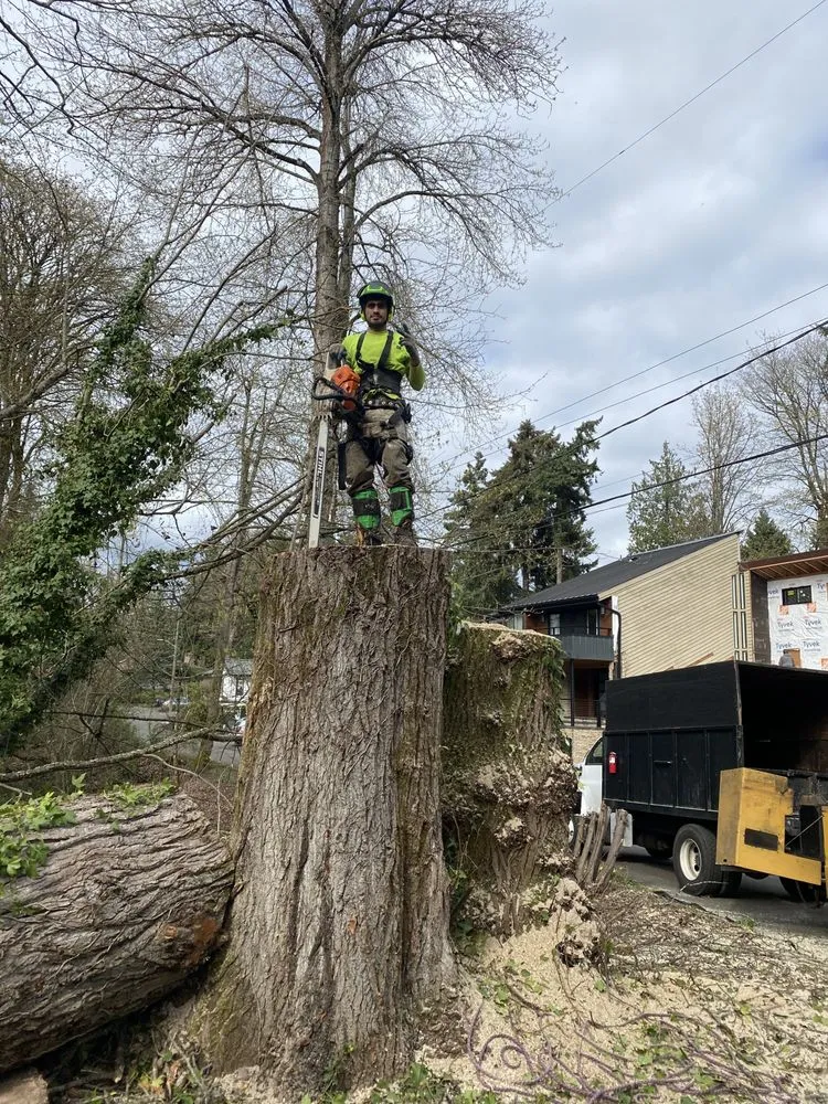 Affordable landscaping services for outdoor upgrades in Lakeland South, WA by From-A-To-Zeke