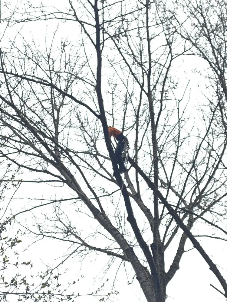 Custom lawn care service in Lakeland South, WA by From-A-To-Zeke