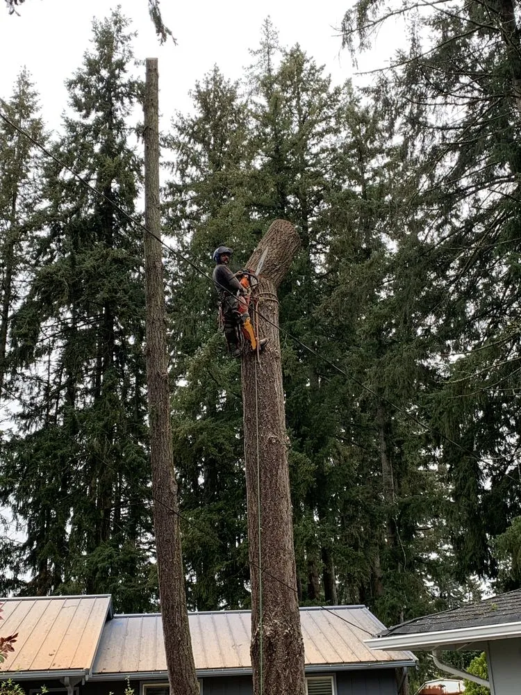 Trusted landscape design experts serving Lakeland South, WA - From-A-To-Zeke