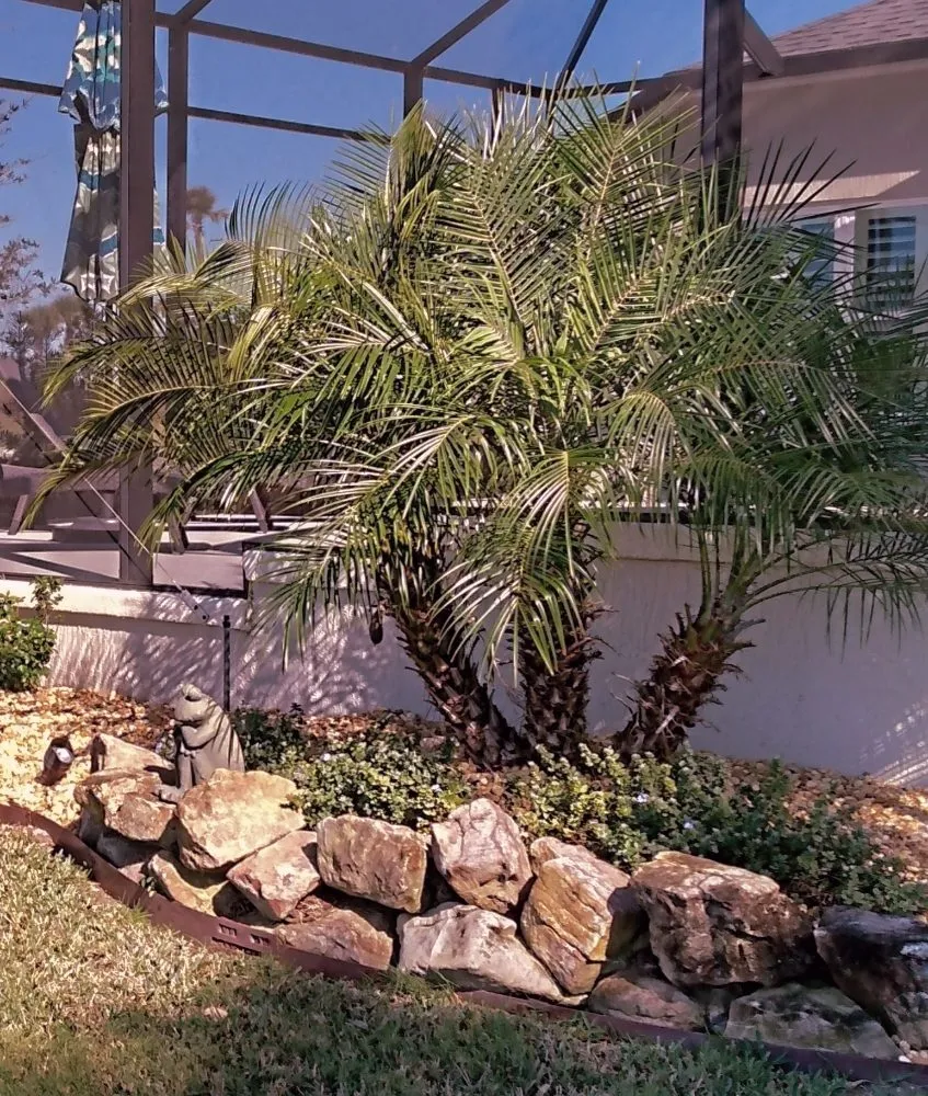 Top-rated garden landscaping experts serving Summerfield, FL - From Father To Son Landscaping & Pavers