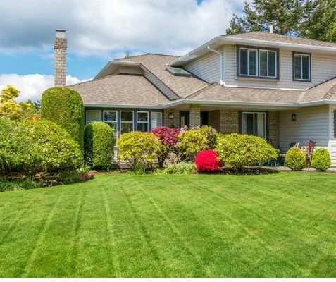 From Gutters To Grass