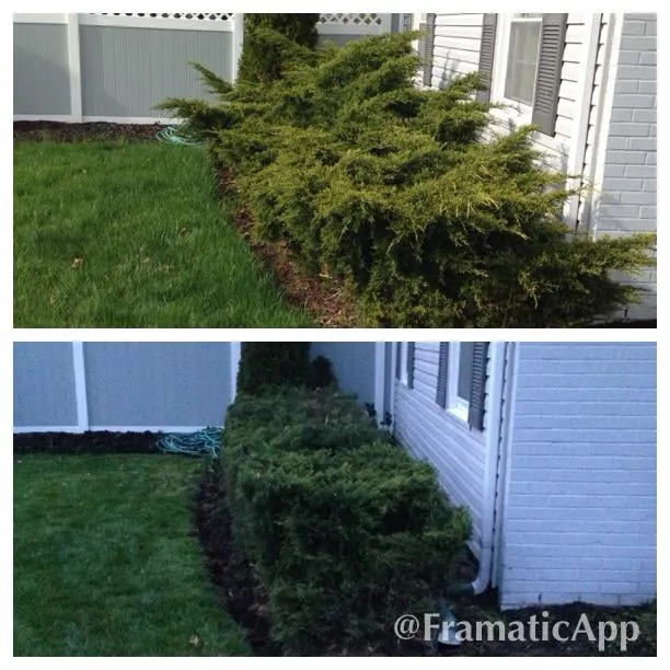 Trusted yard cleanup service in Temple Hills, MD - From Start To Finish Landscaping and Design LLC