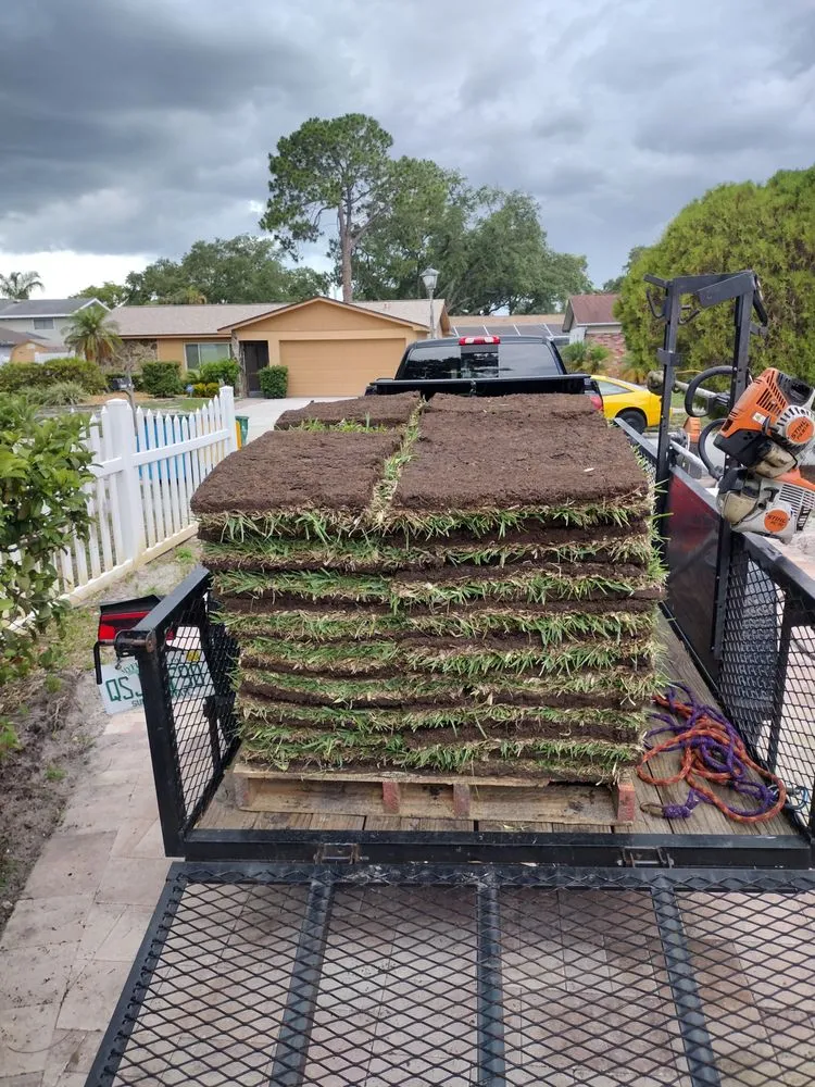 Top-rated landscape installation in Pinellas Park, FL by From The Dirt Lawns and Landscaping