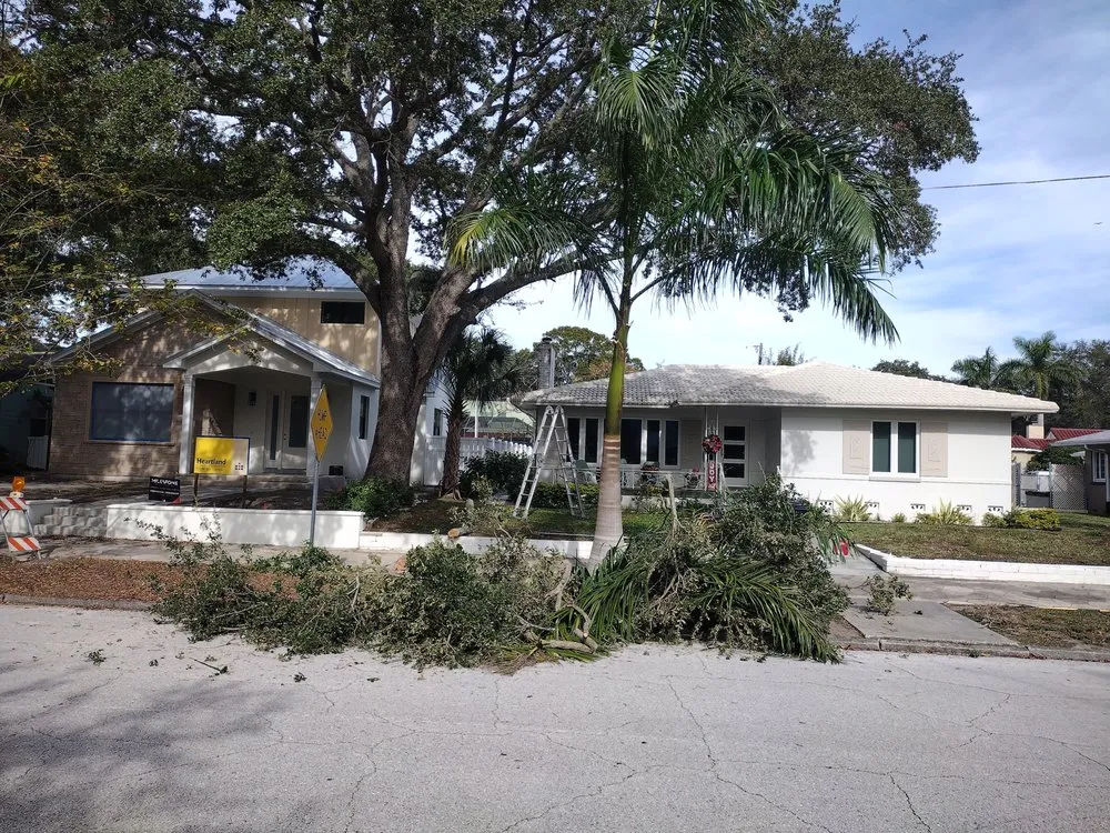 Trusted residential landscaping experts serving Pinellas Park, FL - From The Dirt Lawns and Landscaping