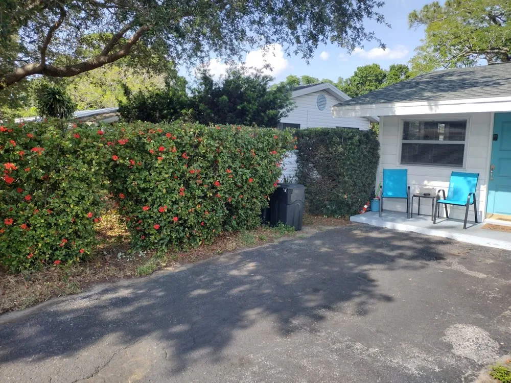 Professional outdoor landscaping in Pinellas Park, FL by From The Dirt Lawns and Landscaping