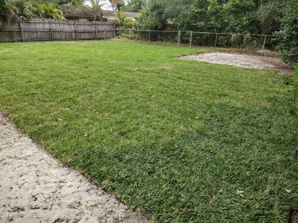 Top-rated lawn care service experts serving Pinellas Park, FL - From The Dirt Lawns and Landscaping