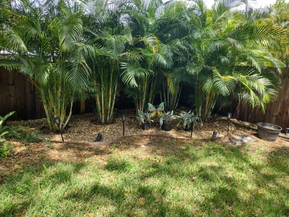 Reliable garden landscaping experts serving Pinellas Park, FL - From The Dirt Lawns and Landscaping