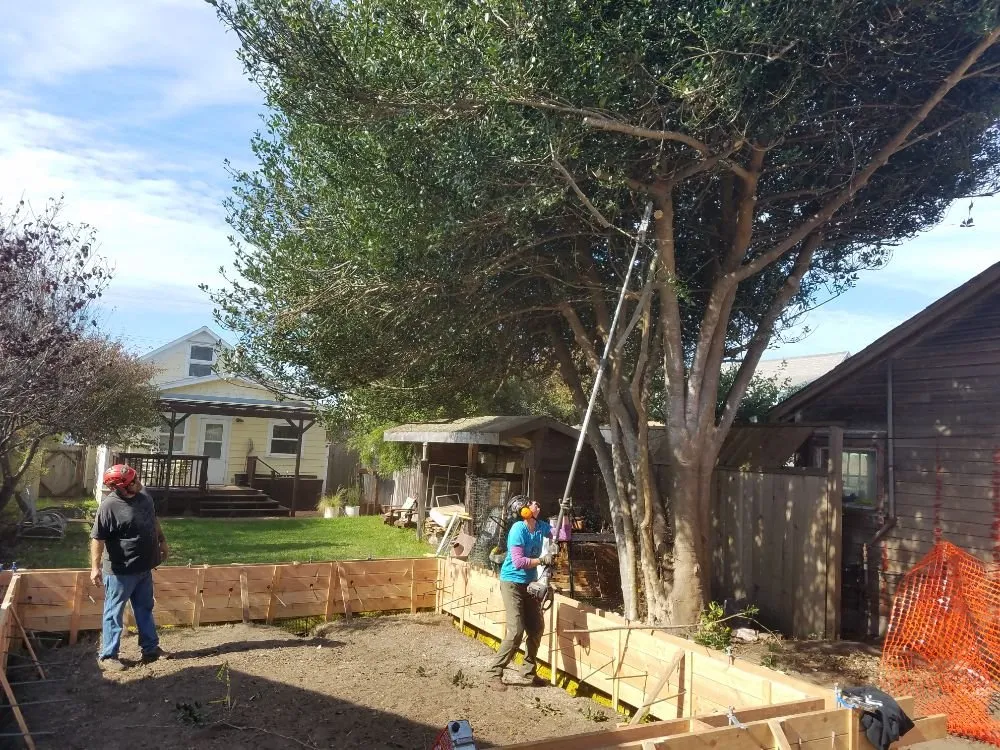 Expert landscaping services experts serving Comptche, CA - From the Ground Up