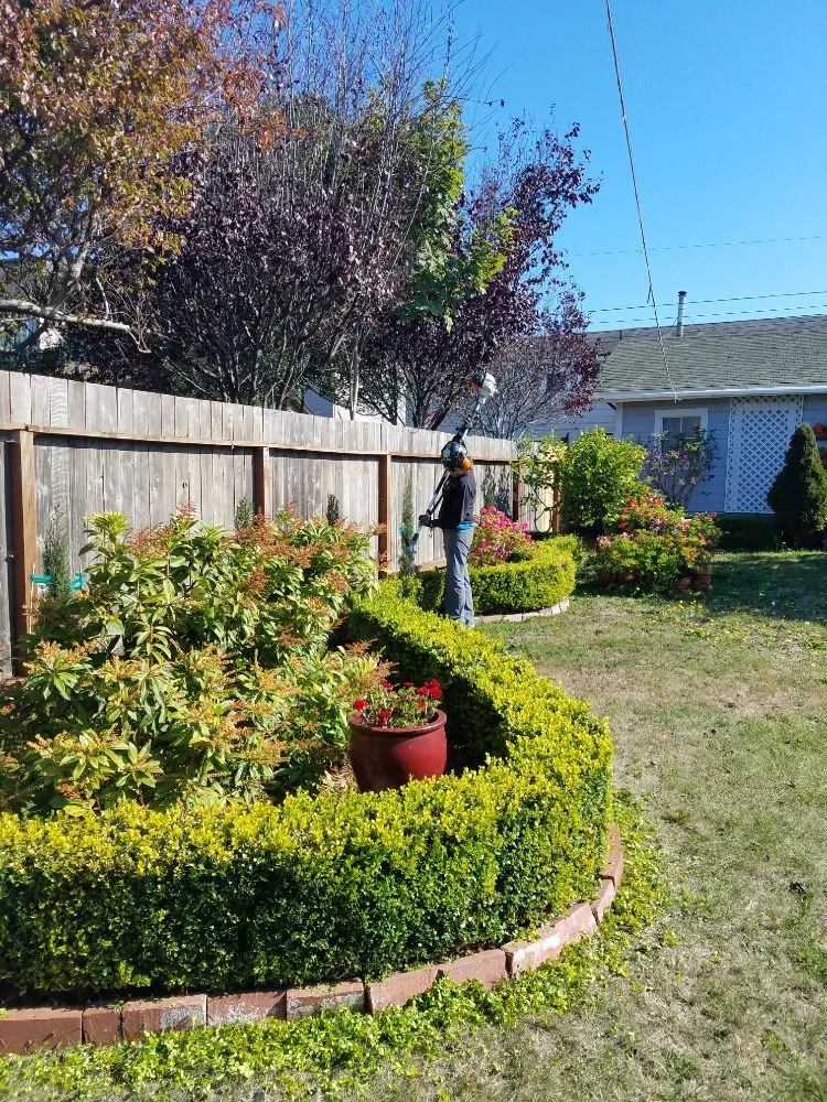 Local outdoor landscaping in Comptche, CA by From the Ground Up