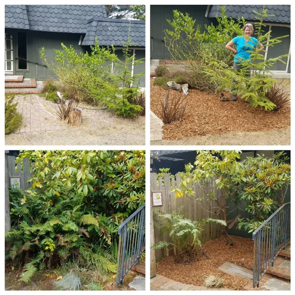 Top-rated residential landscaping in Comptche, CA - From the Ground Up