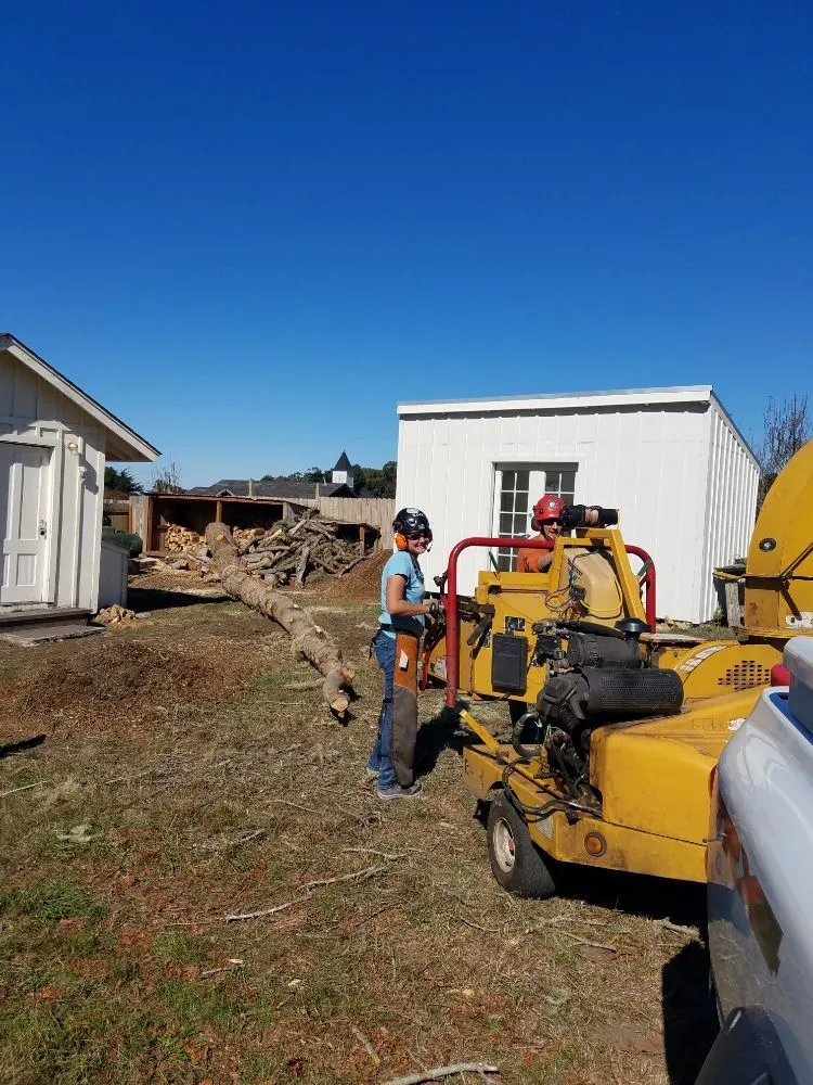 Custom outdoor landscaping in Comptche, CA - From the Ground Up