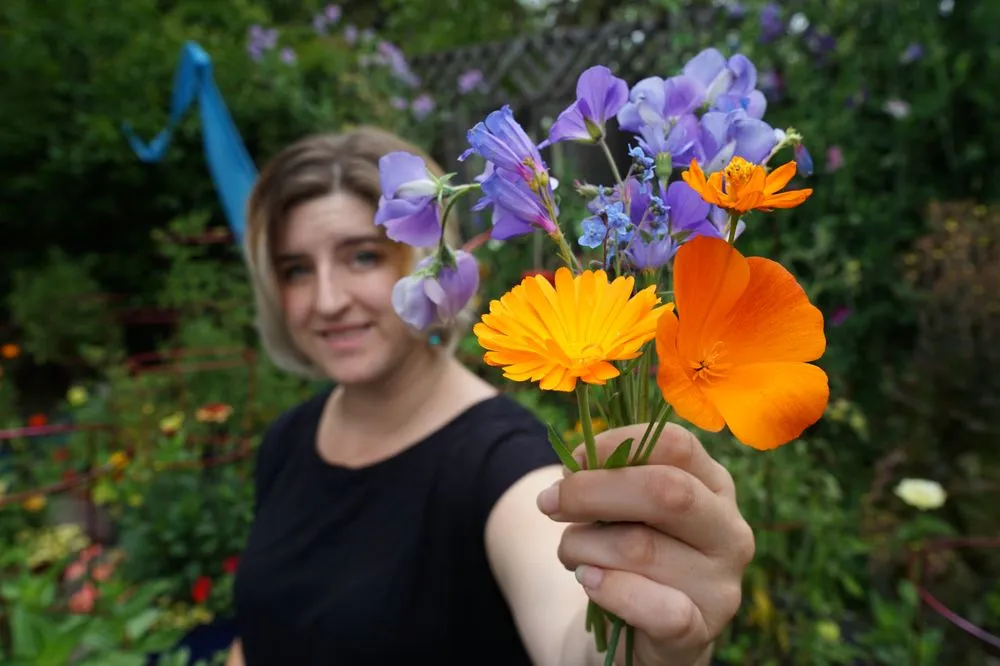 Expert landscape installation for residential properties in Sonoma, CA by From the Ground Up Design