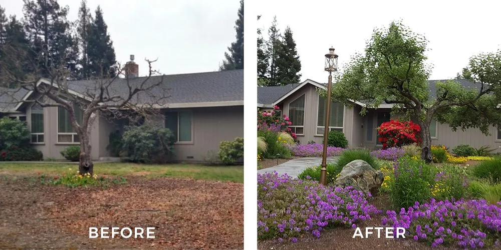 Top-rated garden landscaping near you in Sonoma, CA by From the Ground Up Design