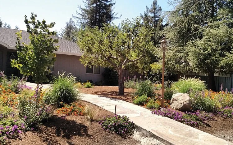 Professional landscape design in Sonoma, CA by From the Ground Up Design
