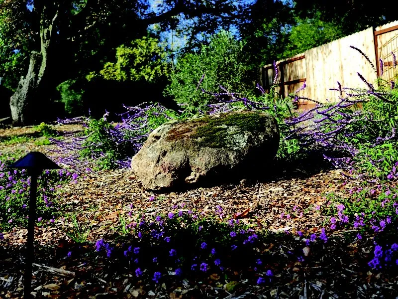Top-rated residential landscaping in Sonoma, CA - From the Ground Up Design