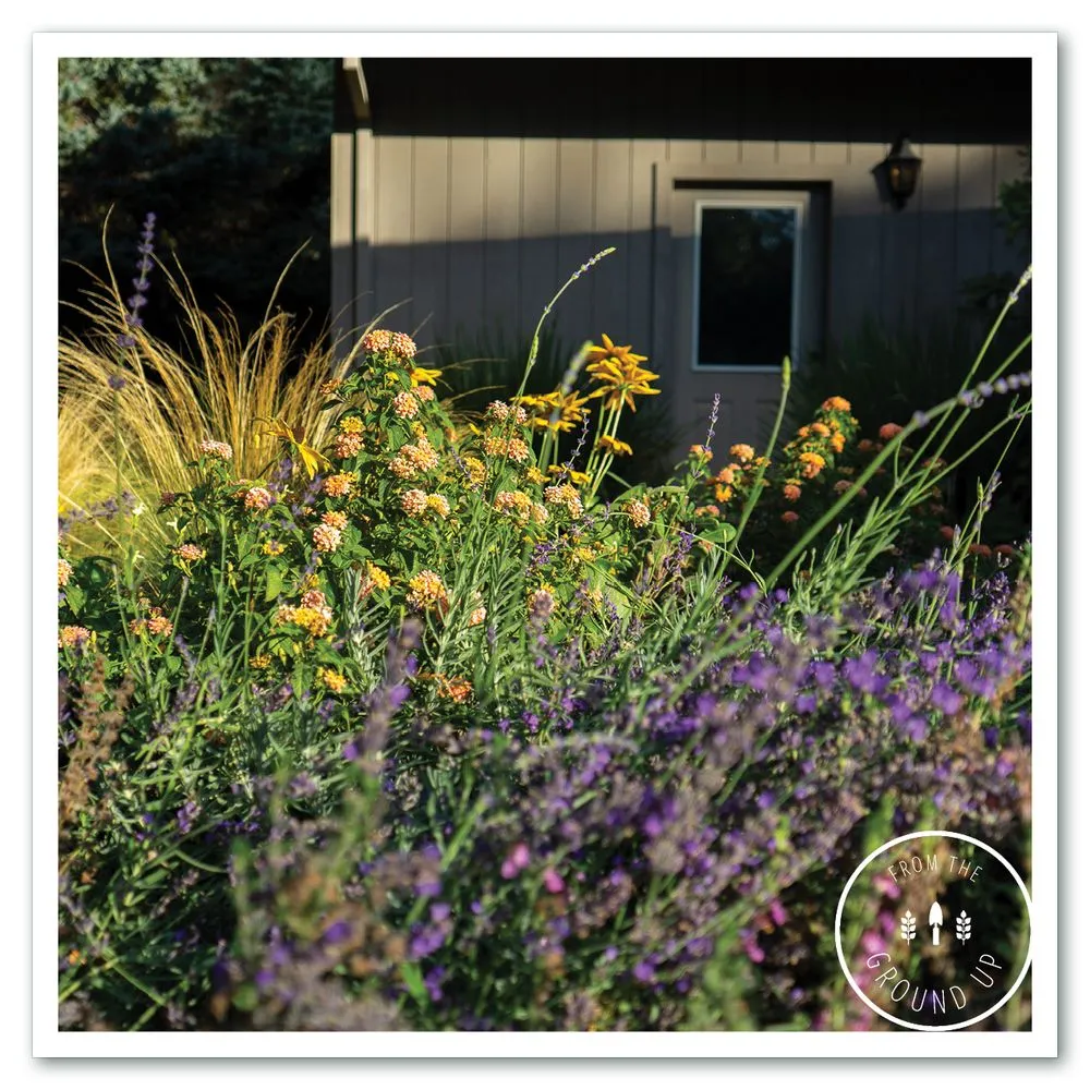 Trusted landscape installation in Sonoma, CA by From the Ground Up Design