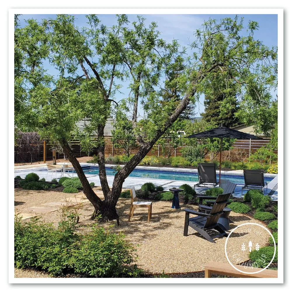 Affordable landscape installation for residential properties across Sonoma, CA - From the Ground Up Design