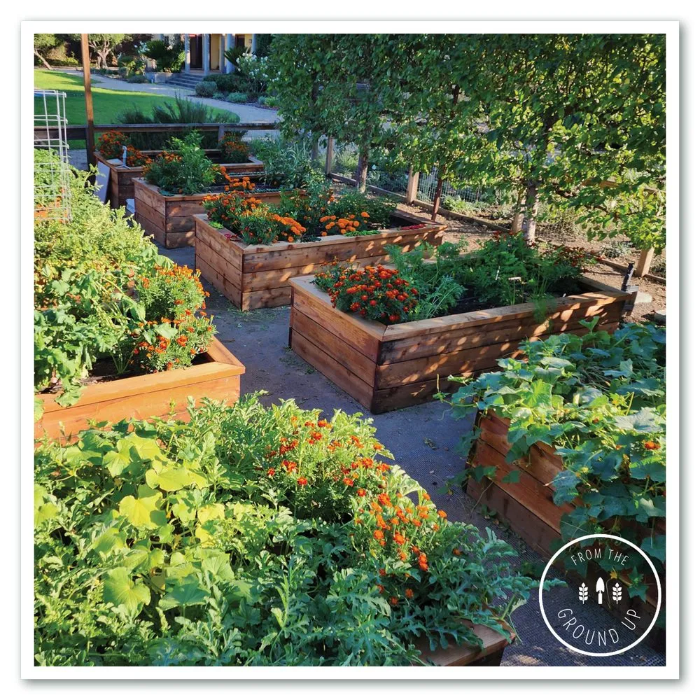 Reliable outdoor landscaping near you in Sonoma, CA by From the Ground Up Design