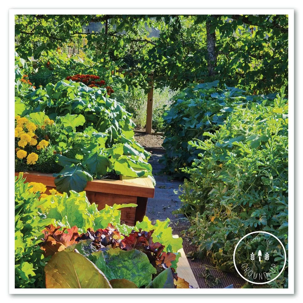 Expert landscape design in Sonoma, CA by From the Ground Up Design