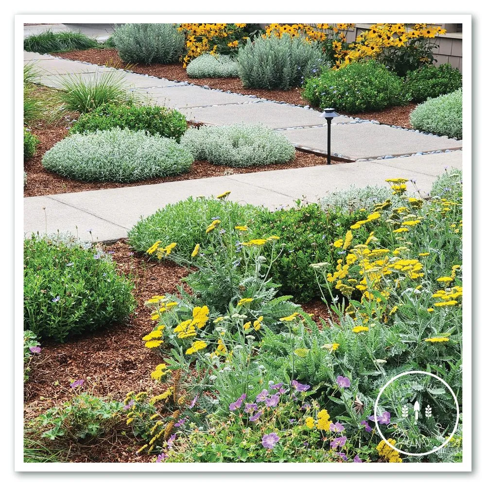 Top-rated landscaping services for beautiful yards across Sonoma, CA - From the Ground Up Design