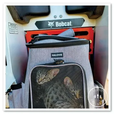 From the Ground Up Design Logo