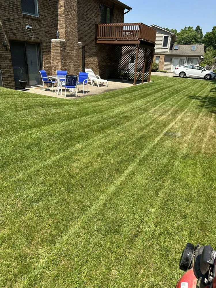 Affordable yard cleanup service in Independence, KY - From the ground up