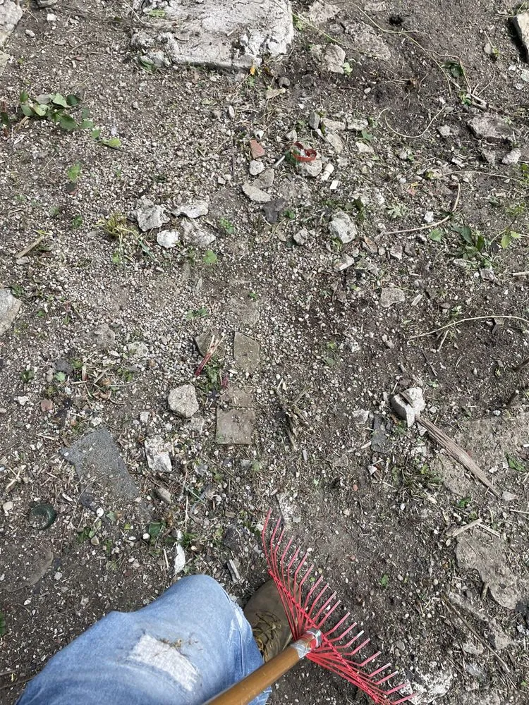 Expert yard cleanup service for residential properties in Independence, KY by From the ground up