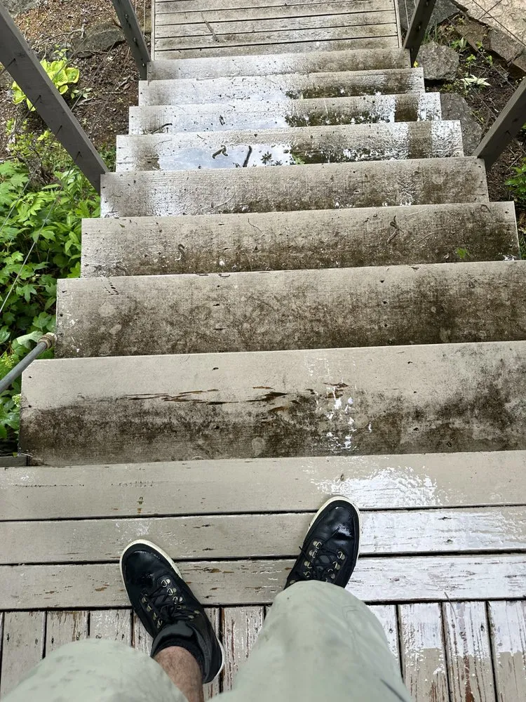 Trusted lawn care service in Independence, KY - From the ground up