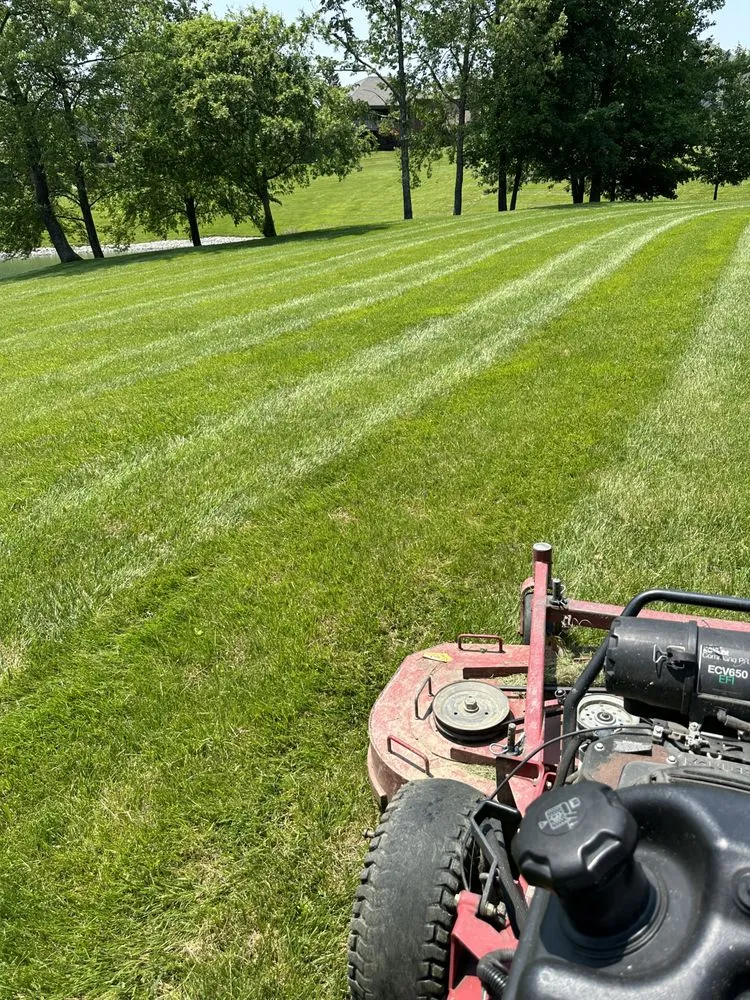Affordable yard cleanup service in Independence, KY - From the ground up