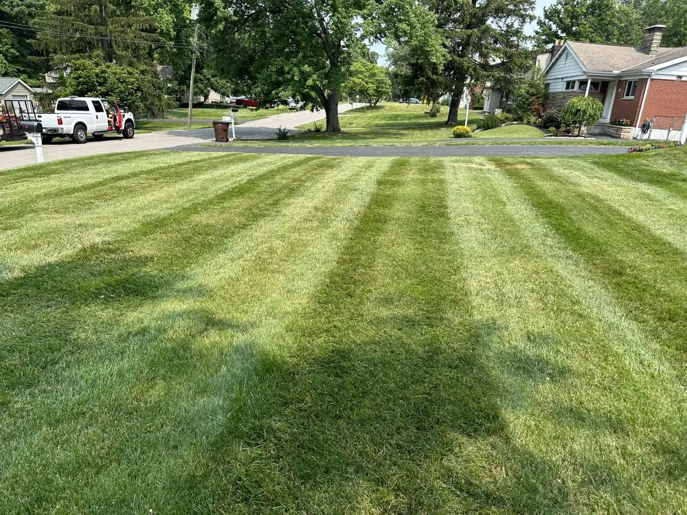 Professional landscape installation for residential properties in Independence, KY by From the ground up