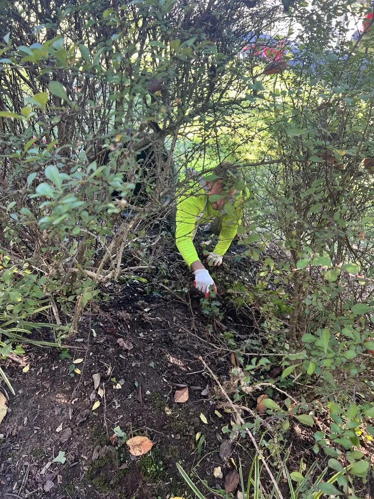 Affordable outdoor landscaping with custom design across Glen Burnie, MD - From the Ground Up Landscape and Design