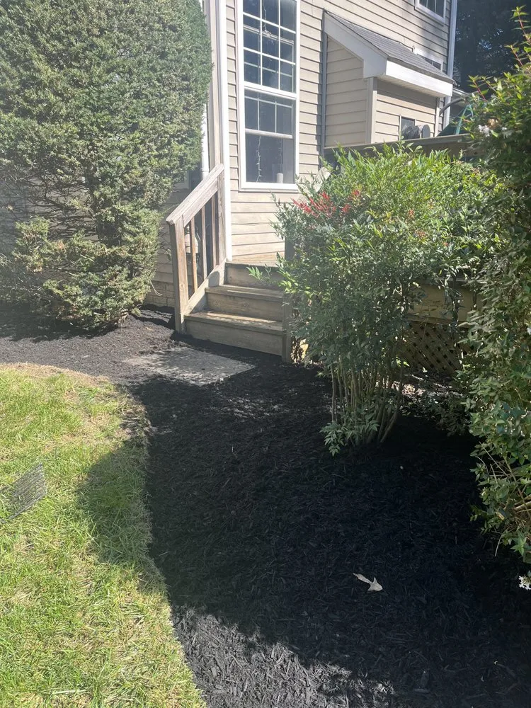 Expert yard cleanup service in Glen Burnie, MD - From the Ground Up Landscape and Design