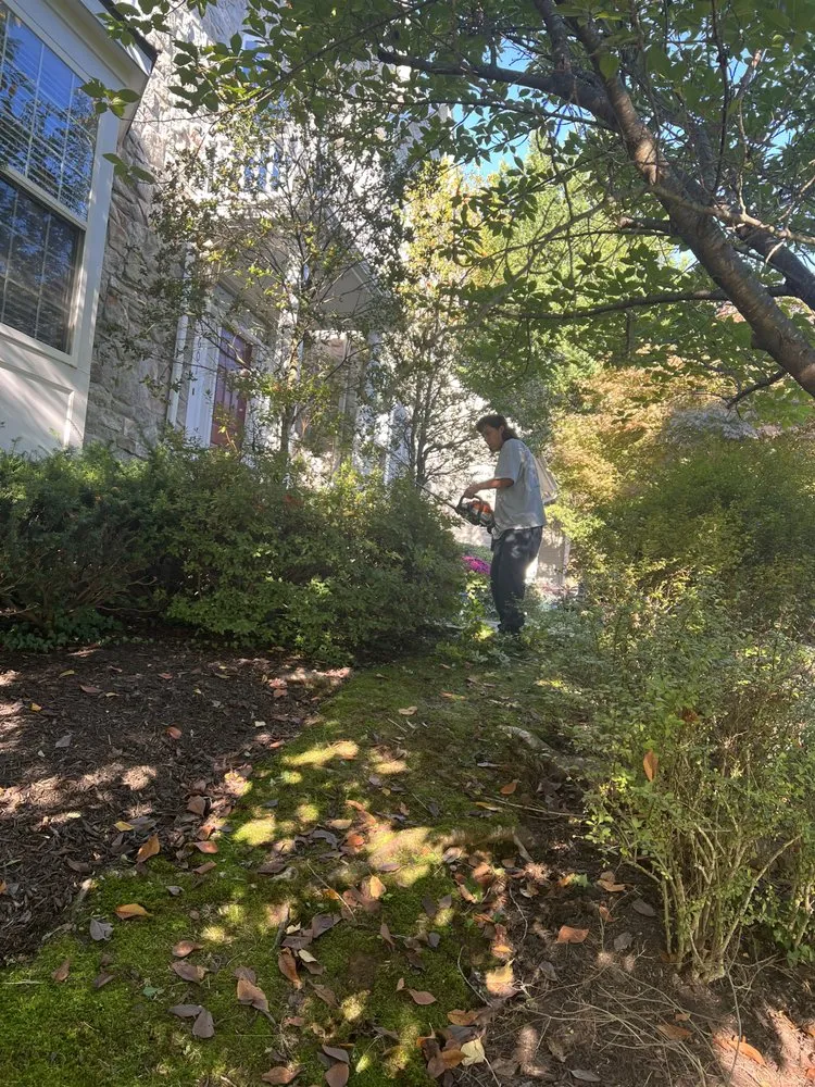 Custom lawn care service experts serving Glen Burnie, MD - From the Ground Up Landscape and Design