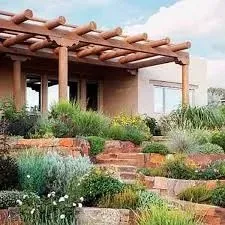 Reliable lawn care service in Rio Rancho, NM - From the Ground Up Landscape Construction & Design