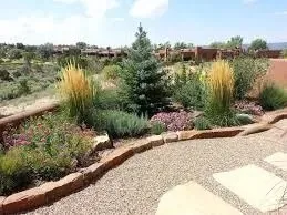 Custom landscaping services in Rio Rancho, NM - From the Ground Up Landscape Construction & Design