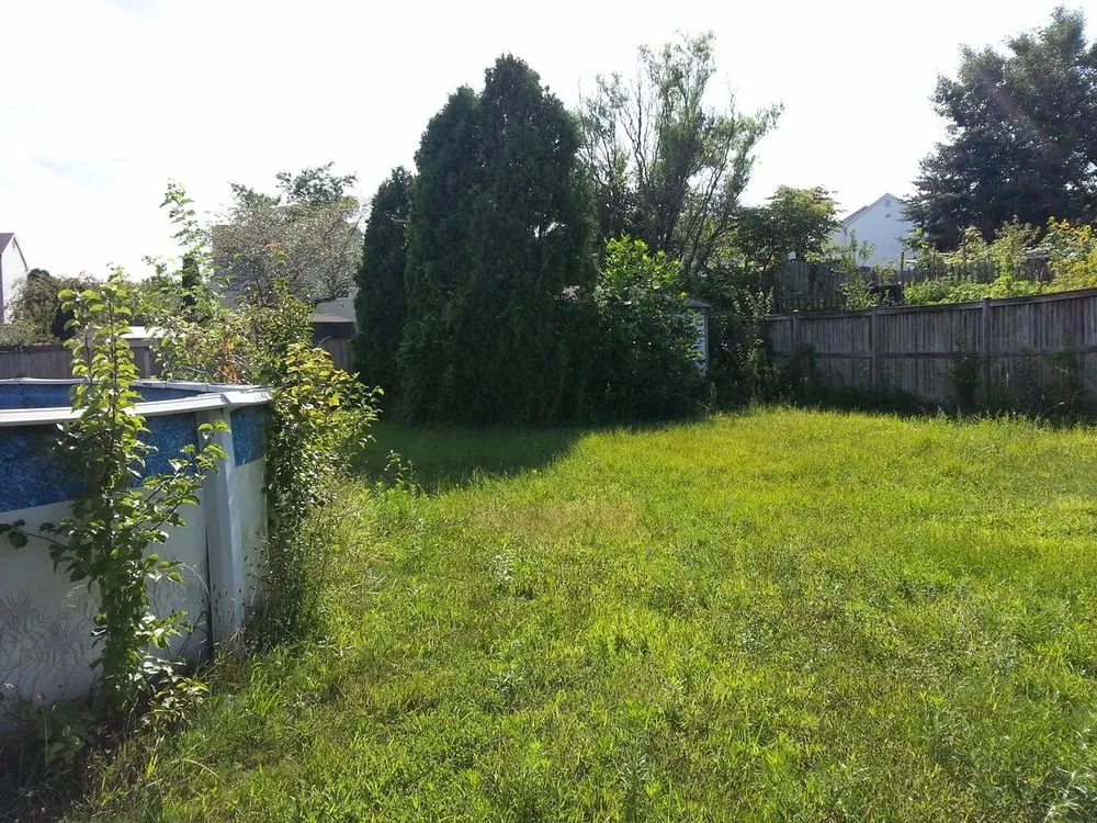 Top-rated lawn care service in Dumfries, VA by From The Ground Up Landscaping & Hauling