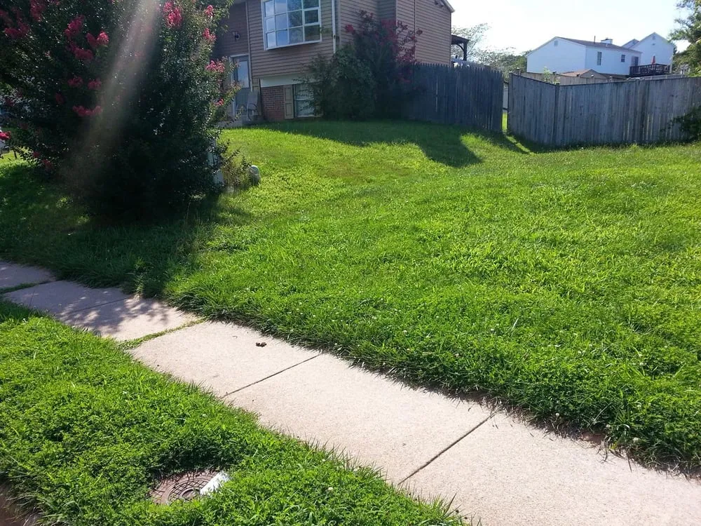 Expert outdoor landscaping in Dumfries, VA by From The Ground Up Landscaping & Hauling