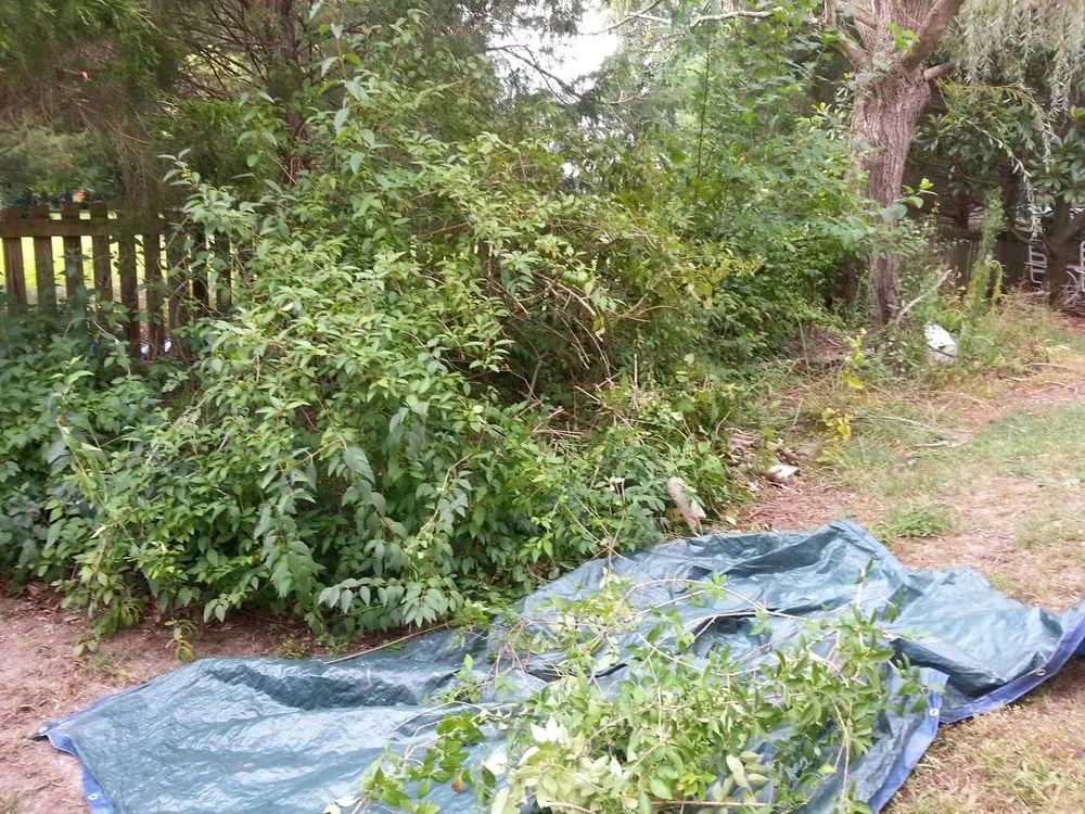 Affordable landscape installation in Dumfries, VA by From The Ground Up Landscaping & Hauling